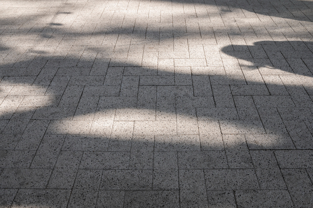 Paver de Concreto
